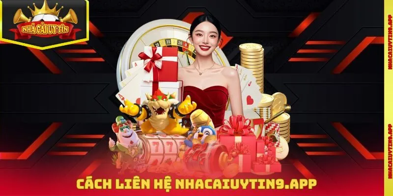 Cách liên hệ enik.io